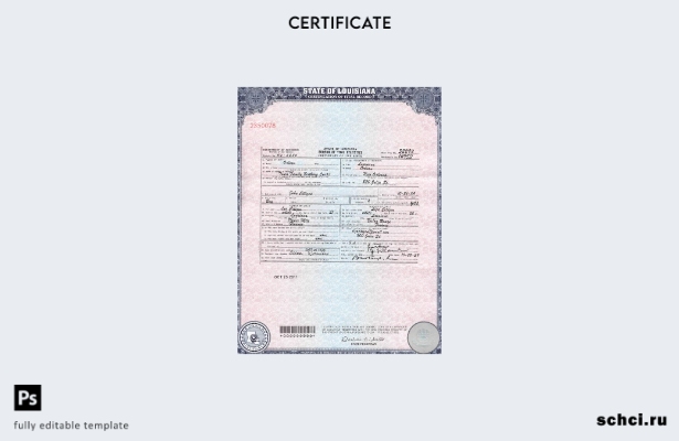 скачать цифровой шаблон свидетельства о рождении США, Луизиана